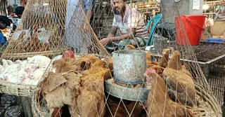 রোজার শেষে বাজারে ক্রেতা কম, বাড়তি মুরগির দাম